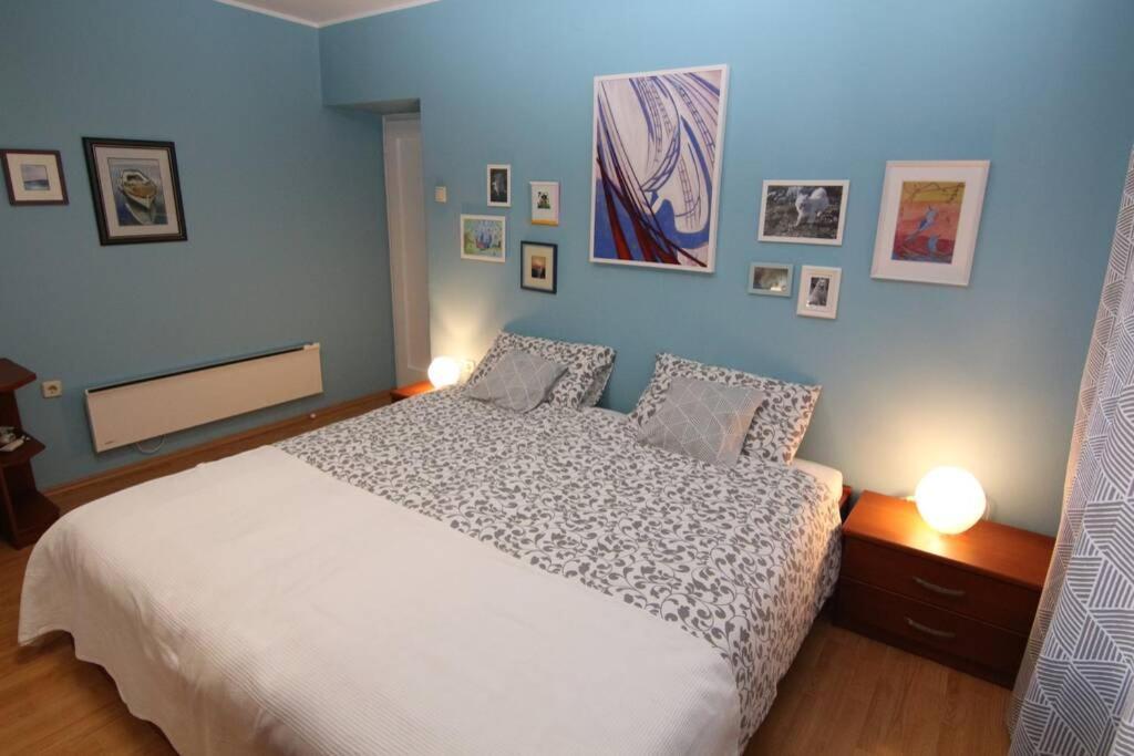 Fast Friend - Cozy Apartment In The Center With Private Garage غييكا المظهر الخارجي الصورة