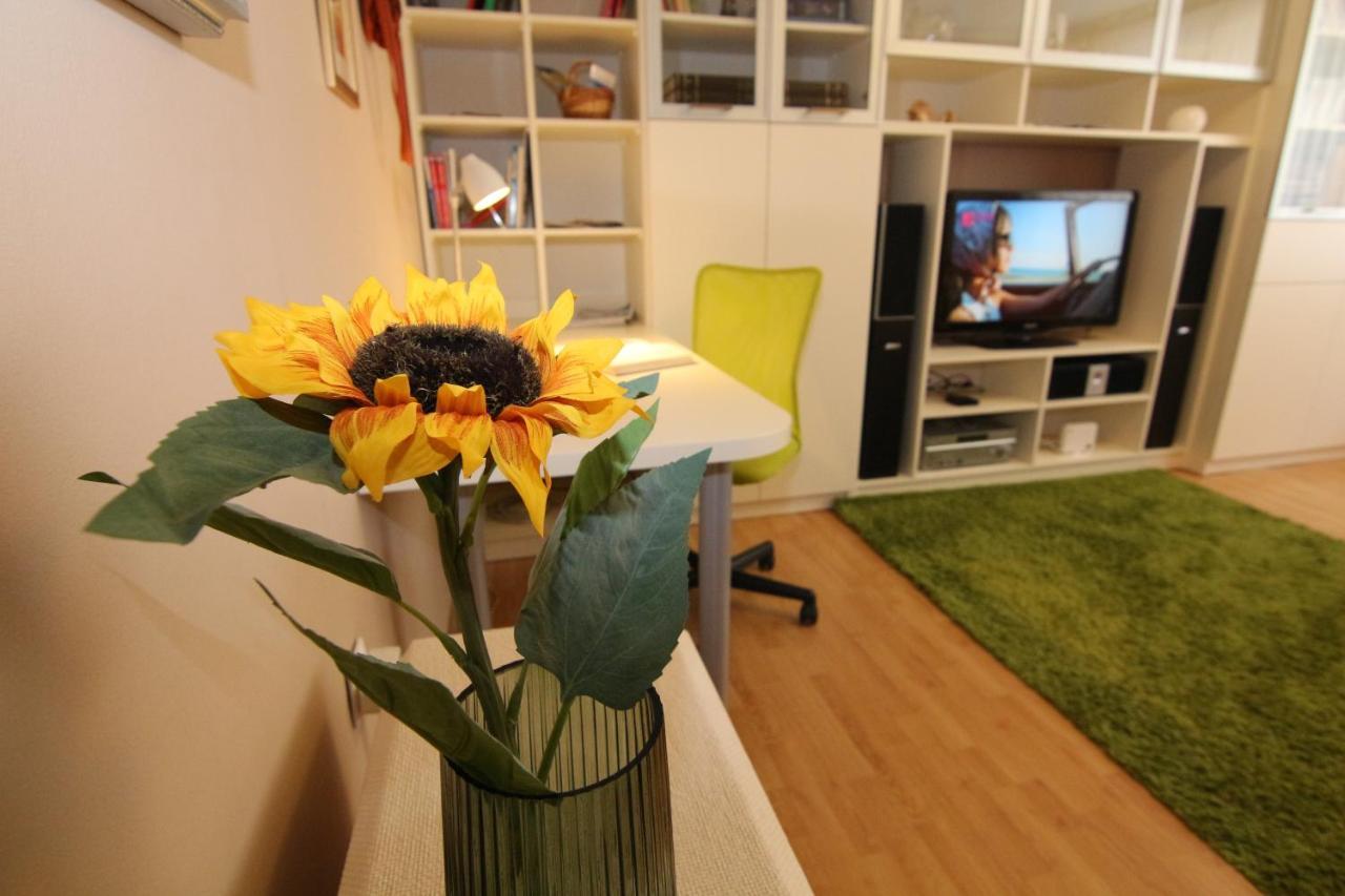 Fast Friend - Cozy Apartment In The Center With Private Garage غييكا المظهر الخارجي الصورة